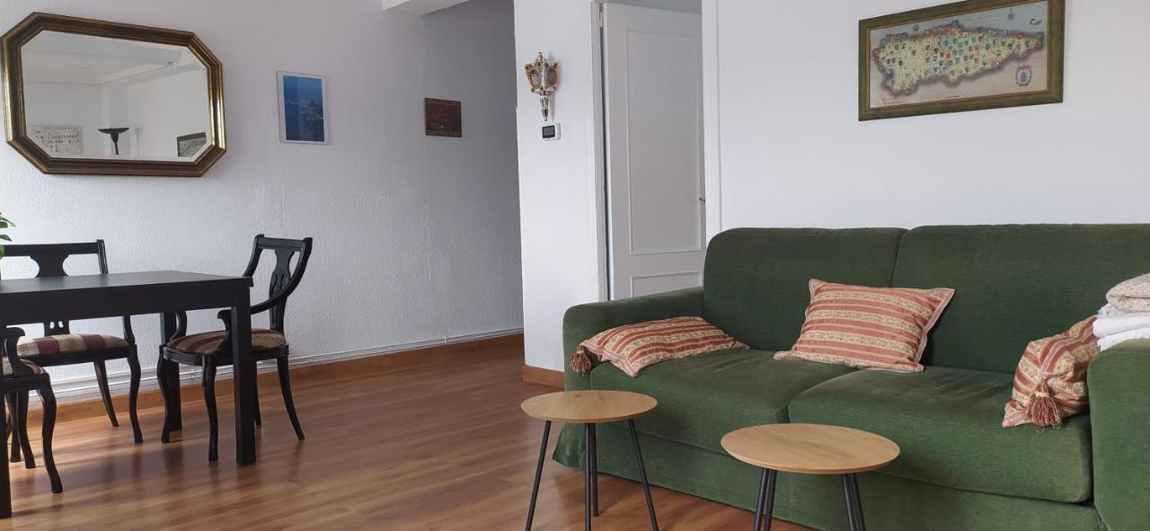 Atico Centrico Con Terraza Oviédo